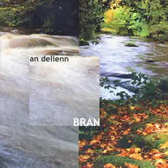 An Delienn by Bran album reviews, ratings, credits