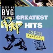 Sleeping Bag Records Greatest Rap Hits artwork