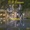 Dp Express - Verite -