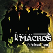 Banda Machos - No Hay Problema