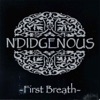 N'Didgenous - Kote Moun Yo