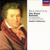 Beethoven: The Piano Sonatas