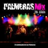 Palmeras Mix 30 Años artwork