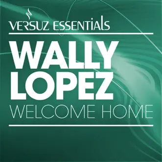 Welcome Home (Bingo Players Remix) by Wally Lopez song reviws