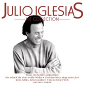 Julio Iglesias: Hit Collection Edition artwork