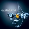 Audiomatic & Magnetrixx - Brimborium