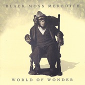 Black Moss Meredith - Believable Things