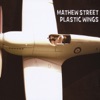 Plastic Wings