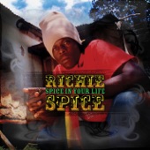 Spice In Your Life artwork