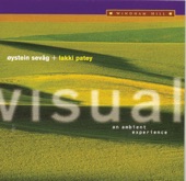 Visual - An Ambient Experience, 1996