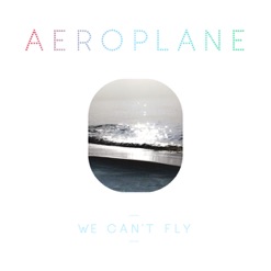 WE CAN'T FLY cover art