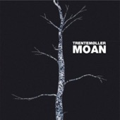 Moan (Trentemoller Remix Radio Edit) artwork