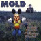 Bob Mould Hates Me - Mold lyrics