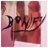 Bonify - Single