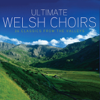 Ultimate Welsh Choirs - 36 Classics from the Valleys - Various Artists