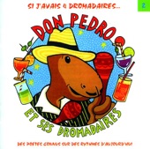 Don Pedro et ses dromadaires, Vol. 2