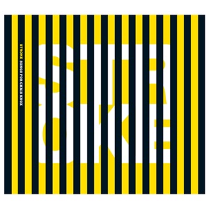 Stroke - Songs for Chris Knox