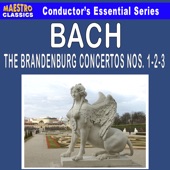 Wurzburg Symphony Orchestra - Brandenburg Concerto No. 2 in F Major, BWV 1047: III. Allegro assai