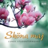 Lunds Studentsångare - Längtan Till Landet