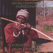 Chipendani Music from Zimbabwe artwork
