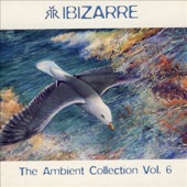 Ambient Collection, Vol. 6 artwork