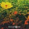 Transporte