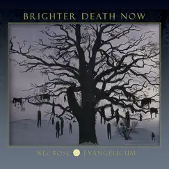 Necrose Evangelicum by Brighter Death Now album reviews, ratings, credits