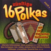 Der Harmonikaspieler (Radio Version) artwork