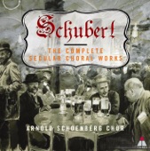 Schubert: The Complete Secular Choral Works artwork