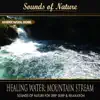 Healing Water: Mountain Stream (Nature Sounds) - Single album lyrics, reviews, download