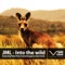 Into the Wild (Peter Horrevorts Kangaroo Tool) - JML lyrics