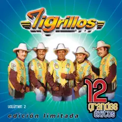 Los Tigrillos: 12 Grandes Exitos, Vol. 2 - Los tigrillos Los Tigrillos: 12 Grandes Exitos, Vol. 2 - Los tigrillos