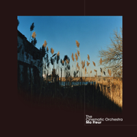 The Cinematic Orchestra - To Build a Home (feat. Patrick Watson) artwork