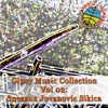 Gipsy Music Collection, Vol. 2: Snezana Jovanovic Sikica