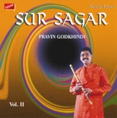 Sur Sagar - Soft Instrumentals on Flute (Volume II) artwork