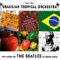 With a Little Help from My Friends - Brazilian Tropical Orchestra lyrics