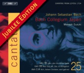Bach, J.S.: Cantatas, Vol. 25 - BWV 78, 99, 114 artwork