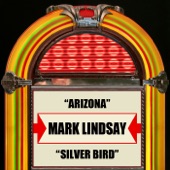 Arizona (Re-Recorded) artwork