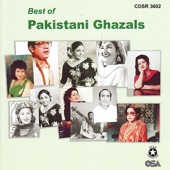 Best of Pakistani Ghazals artwork