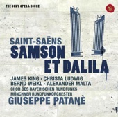 Saint-Saëns: Samson Et Dalila artwork
