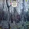Backwoods album lyrics, reviews, download