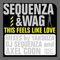 This Feels Like Love (Yakooza Big Room Mix) - DJ Sequenza & Wag lyrics