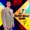 The Buddy Holly Sound