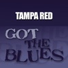 Tampa Red & Big Maceo - You Missed a Good Man