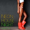 Neon House Night, Vol. 3