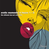 Erotic Moments In House Vol 1-3 (The Ultimate Digital Box Set Collection) artwork