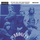 The Brogues - I Ain't No Miracle Worker