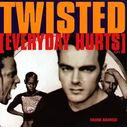 Twisted (Everyday Hurts) [CD 1] - EP - Skunk Anansie