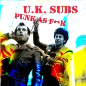 Punk As F*#k artwork
