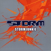 Stormjunkie artwork